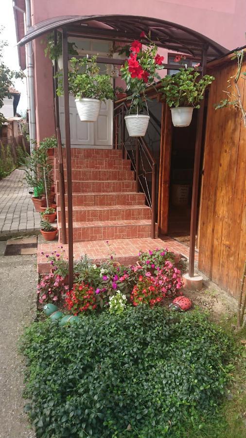 Casa Fabrizio Hotel Calimanesti Exterior photo